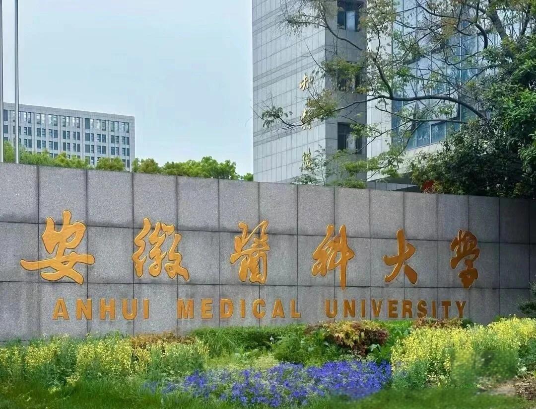 實(shí)力護(hù)航！熱烈祝賀我公司成功承接安徽醫(yī)科大學(xué)新醫(yī)科中心舞臺防火大幕項(xiàng)目